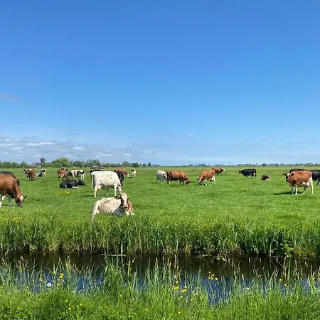 Geniet De Rust En De Ruimte Apartman *